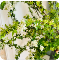 等待的时间总是漫长的