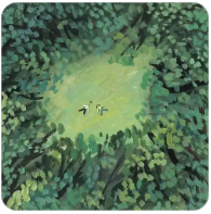 等待的时间总是漫长的