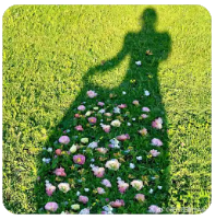 等待的时间总是漫长的