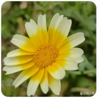 等待的时间总是漫长的